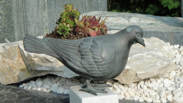 Taube Bronze - Stein & Design Schwarzenbacher
